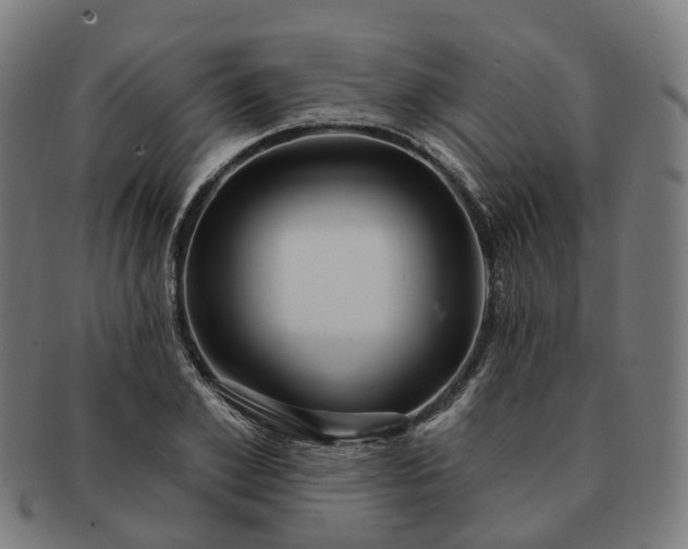 X0000091310981200708241110