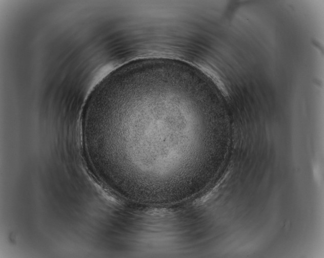 X0000091310982200708241110