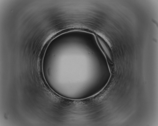 X0000091310983200708241110