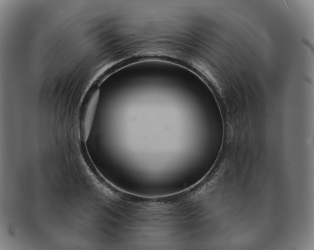 X0000091310984200708241110