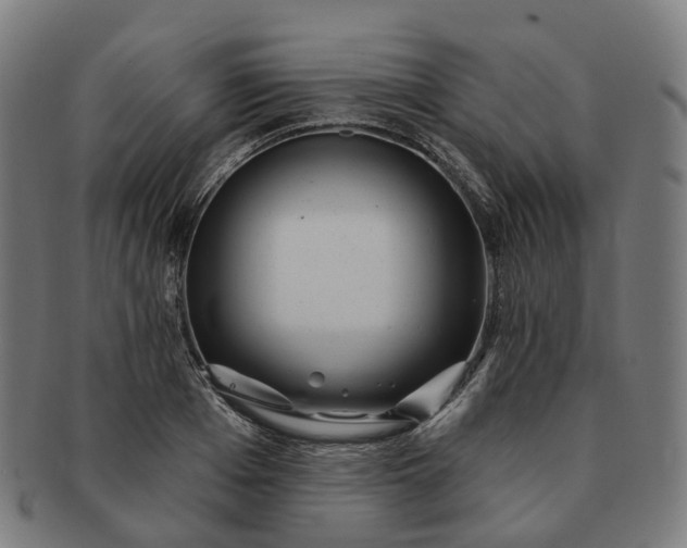 X0000091310985200708241110