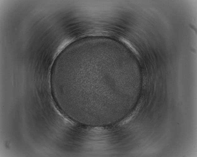 X0000091310986200708241110