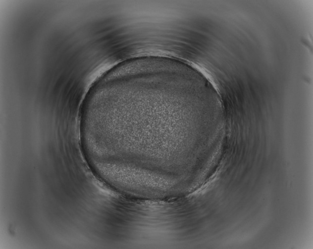 X0000091310987200708241110