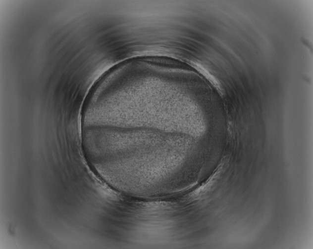 X0000091310988200708241110