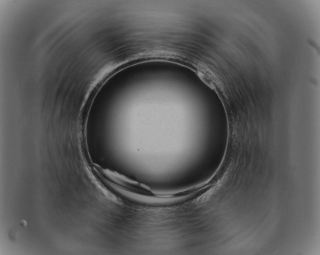 X0000091310989200708241110