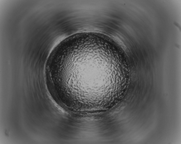 X0000091310990200708241110