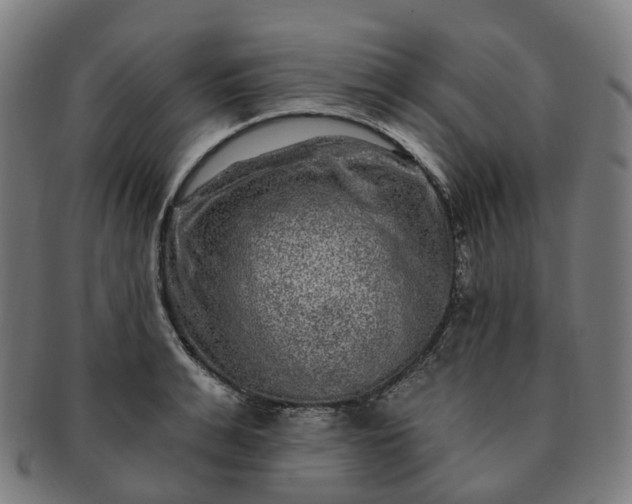 X0000091310991200708241110