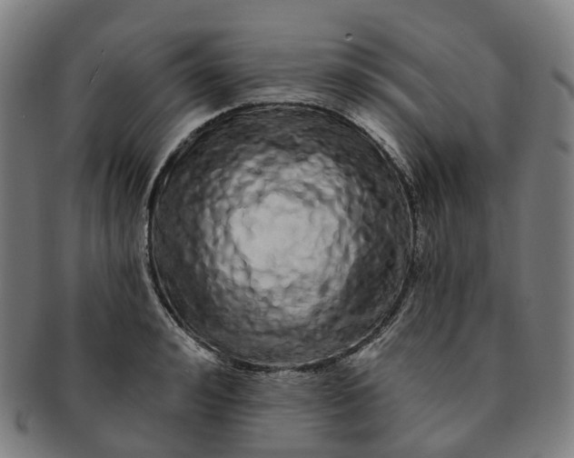 X0000091310992200708241110