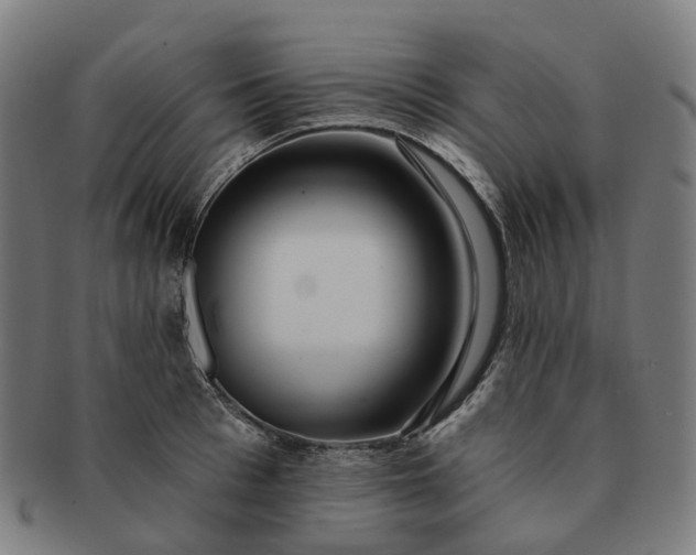 X0000091310993200708241110