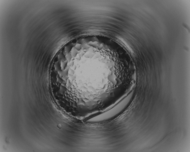 X0000091310994200708241110