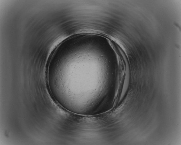 X0000091310995200708241110