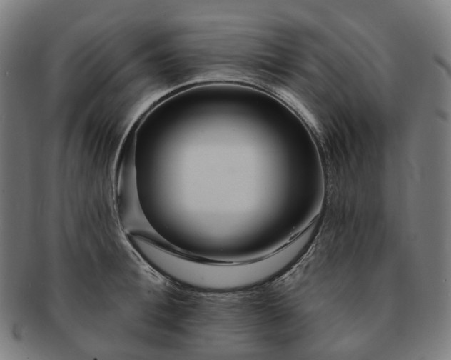 X0000091310996200708241110