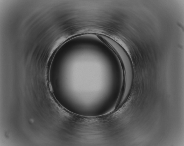 X0000091310997200708241110