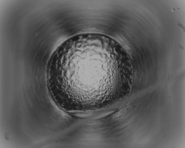 X0000091310998200708241110