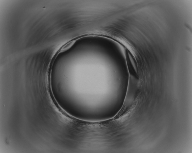 X0000091310999200708241110