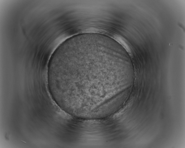 X0000091311000200708241110