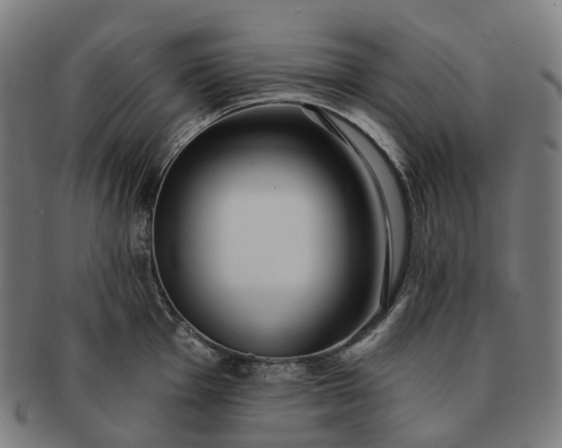 X0000091311001200708241110