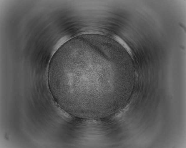 X0000091311002200708241110