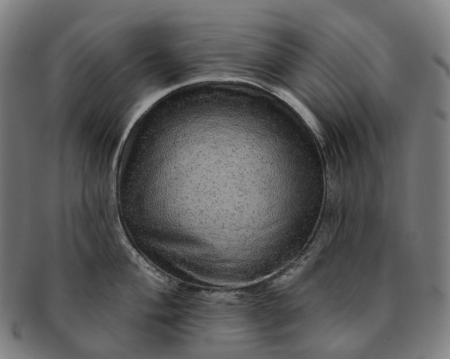 X0000091311004200708241109