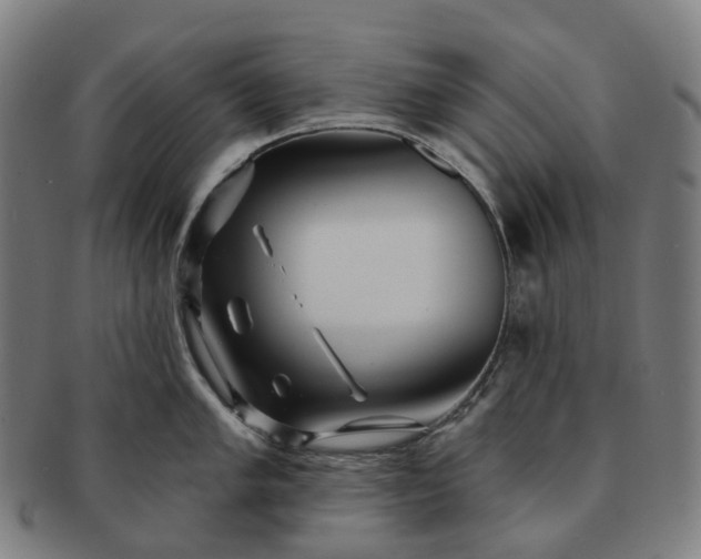 X0000091311005200708241109