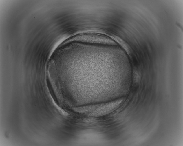 X0000091311006200708241109