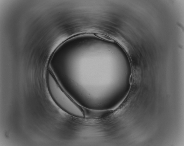 X0000091311007200708241109