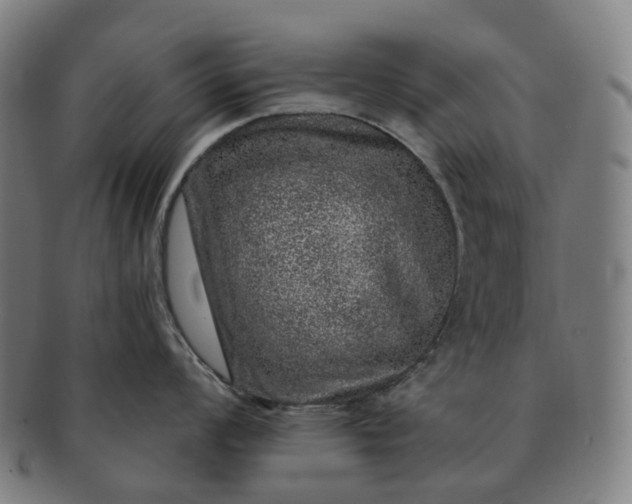 X0000091311008200708241109