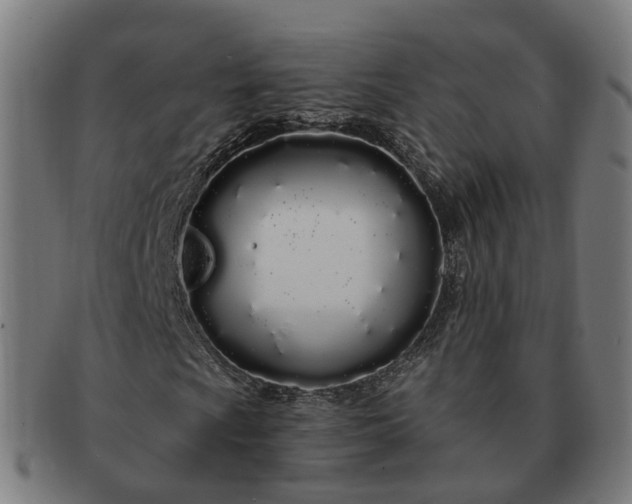 X0000091311009200708241109