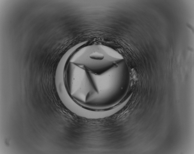 X0000091311010200708241109