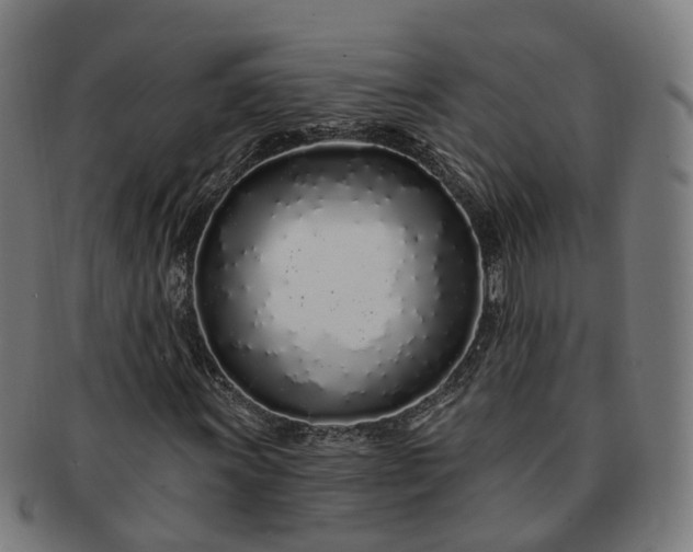 X0000091311011200708241109