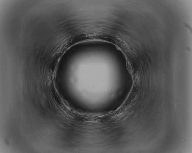 X0000091311012200708241109