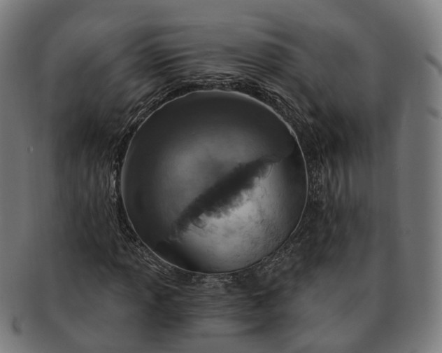 X0000091311013200708241109