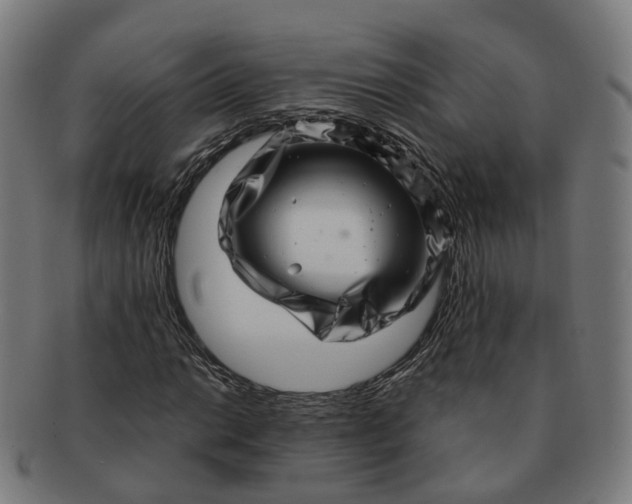 X0000091311014200708241109