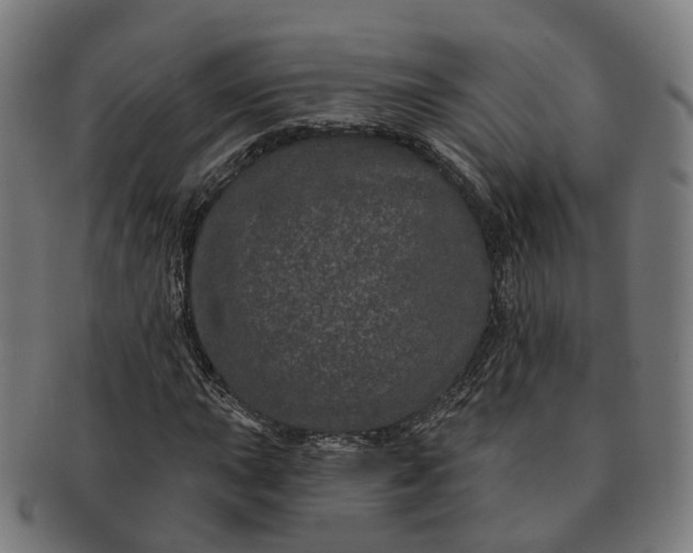 X0000091311015200708241109