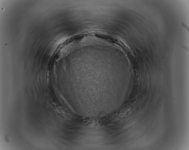 X0000091311016200708241109