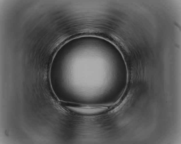 X0000091311017200708241109