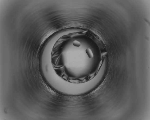 X0000091311018200708241109