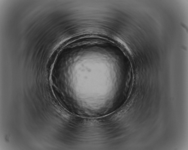 X0000091311019200708241109