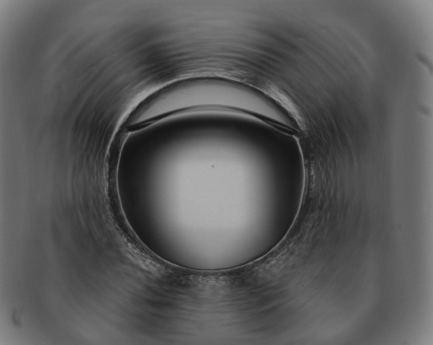 X0000091311020200708241109