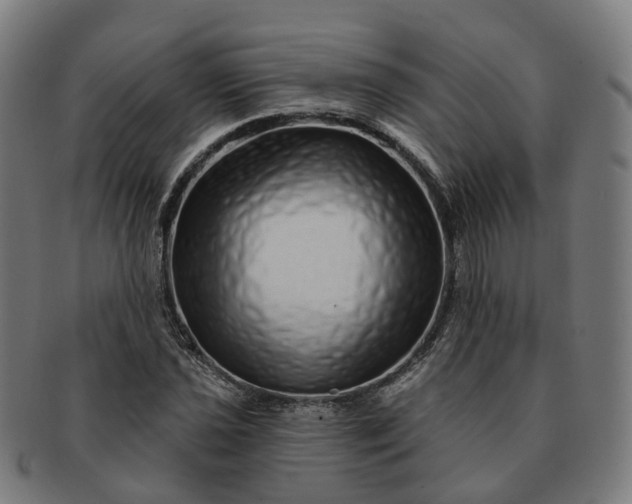 X0000091311021200708241109