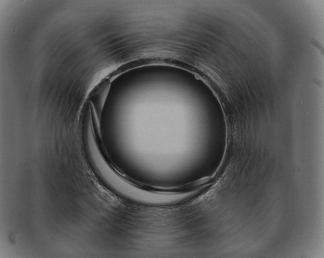 X0000091311022200708241109