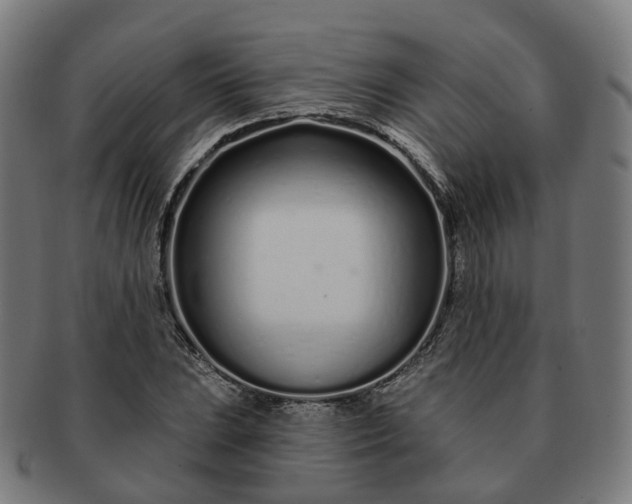 X0000091311023200708241109