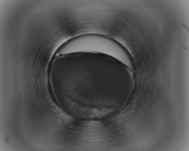 X0000091311024200708241109