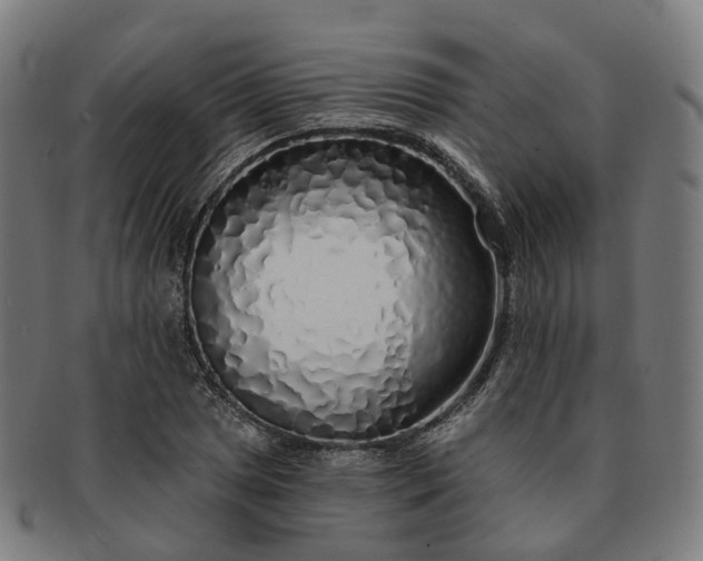 X0000091311025200708241109