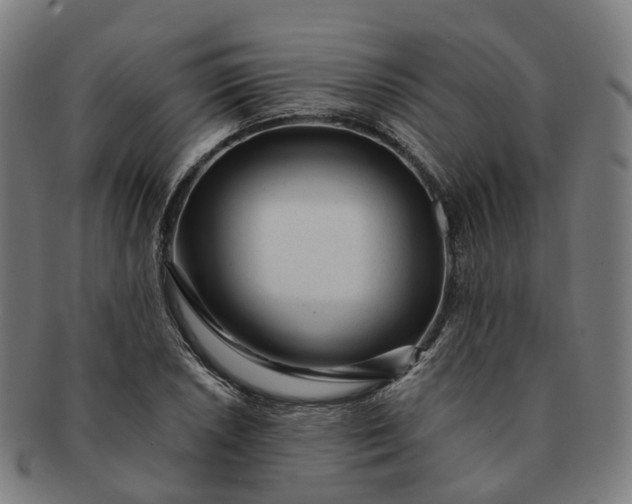 X0000091311026200708241109