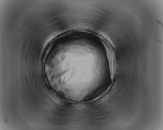 X0000091311027200708241109