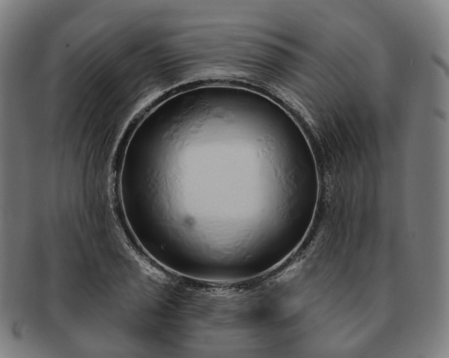 X0000091311029200708241109