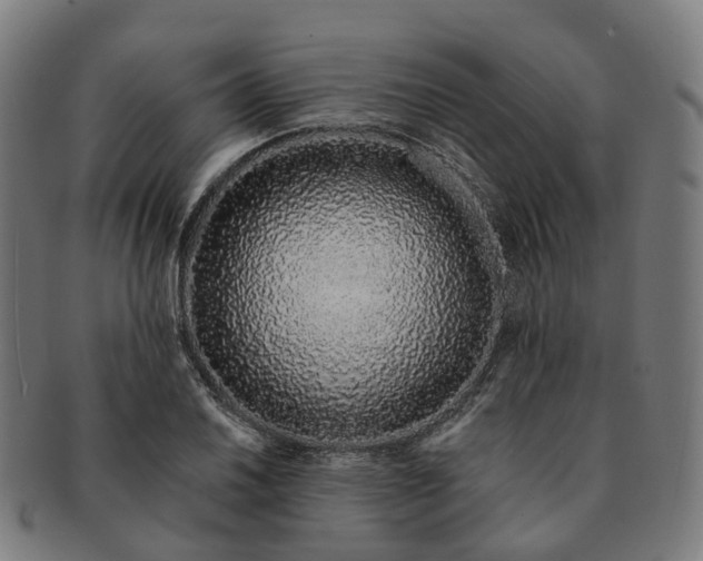 X0000091311030200708241109