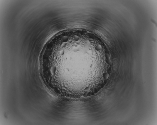 X0000091311031200708241109