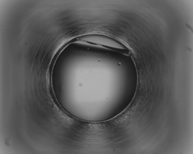 X0000091311032200708241109